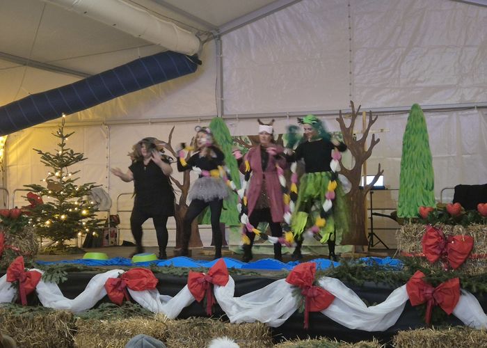 obvestila/naslovnica